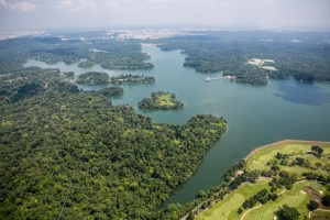 Singapore - Macritchie